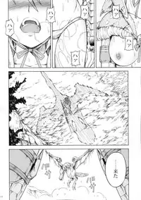 (C81) [Yokohama Junky (Makari Tohru)] Solo Hunter no Seitai 3 (Monster Hunter)