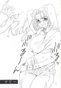 [TEXASU? (NYOROLY)] Koushi Bounyuu 3 KOF 9.8% (King of Fighters)