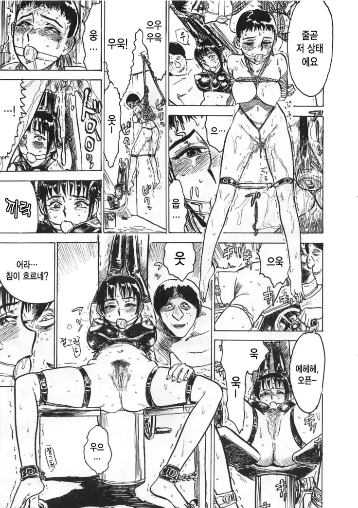 Hitsuji tachi no Monzetsu