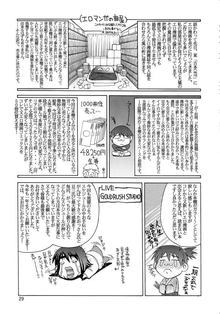 Gundam Seed - A Diva of Healing