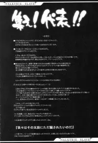 (SC33) [ERECT TOUCH (Erect Sawaru)] VALKYRIE SLAVE (Valkyrie Profile)