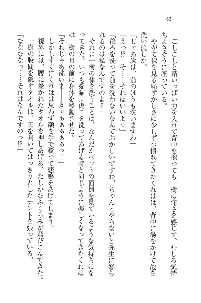 お嬢様はメイド様!？