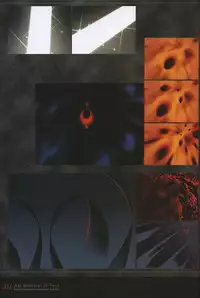 [Type-Moon] Fate/complete material I - Art material.