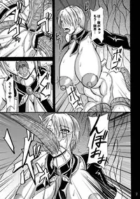 (C75) [Anglachel (Yamamura Natsuru)] Tamashii no Kyouen (SoulCalibur)