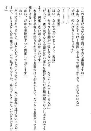 年上メイドの新婚日記