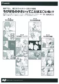 Ikusa Otome Valkyrie 2 Visual Fanbook