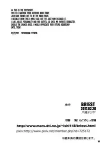 (SC2017 Winter) [BRIEST (Yatsushima Tetsuya)] T2R/11 (Various) [English] [EHCOVE]