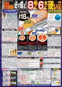 COMIC Shitsurakuten 2009-08