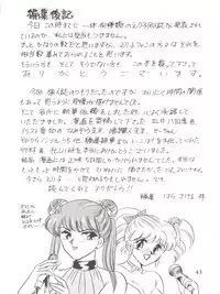 [Circle HCM (Hara Sakeru)] NEXT (Idol Densetsu Eriko) [1991-09-10]