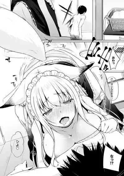 Houshi Shuzoku ga Yattekita!