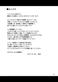 (Reitaisai 9) [Yuudokuya (Tomokichi)] Gensoukyou no Ou ~Ryoujoku Hen Soushuuhen~ (Touhou Project) [Digital]