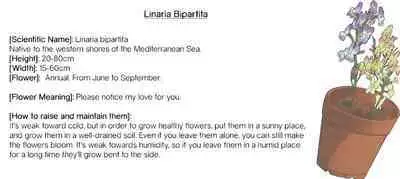 Renai Rubi no Tadashii Furikata | The Proper Way to Write Love