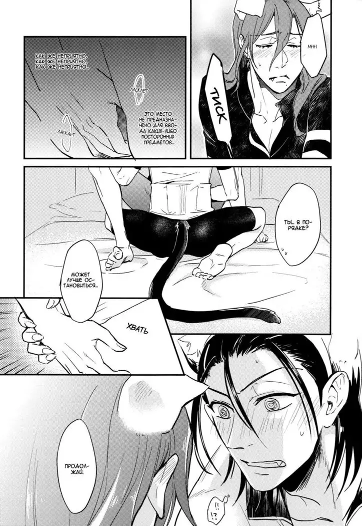 Green, black cat and rut