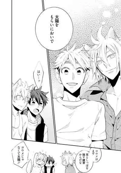 Wolves and Erotic Things