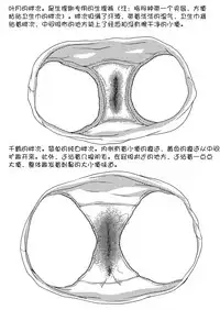 [Tounekoza (zvezda999) Re-Rest Time [Chinese] [柠檬茶汉化组]