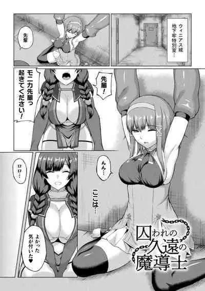 Shittsui no Otome-tachi