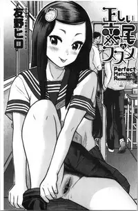 Tadashii Koubi no Susume | 正確的交尾法推薦你