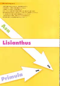 Shuffle! - Visual Fan Book