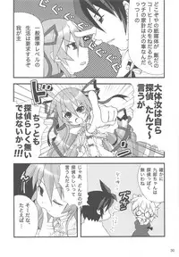 (C75) [Rikudou Juku (Kouki Kuu)] Nyan Mori II (Various)