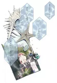 (Splash! 3) [Kiseiya (Seina Anji)] Hare no Hi no Kafuka (Free!)