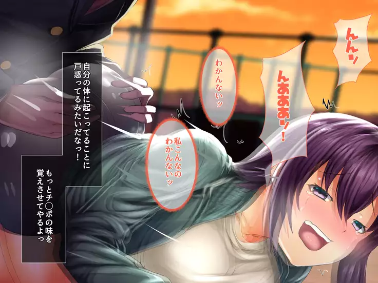 Saimin Appli de Kanraku!! Neratta Emono o Saimin Choukyou!! ~Kouhen~