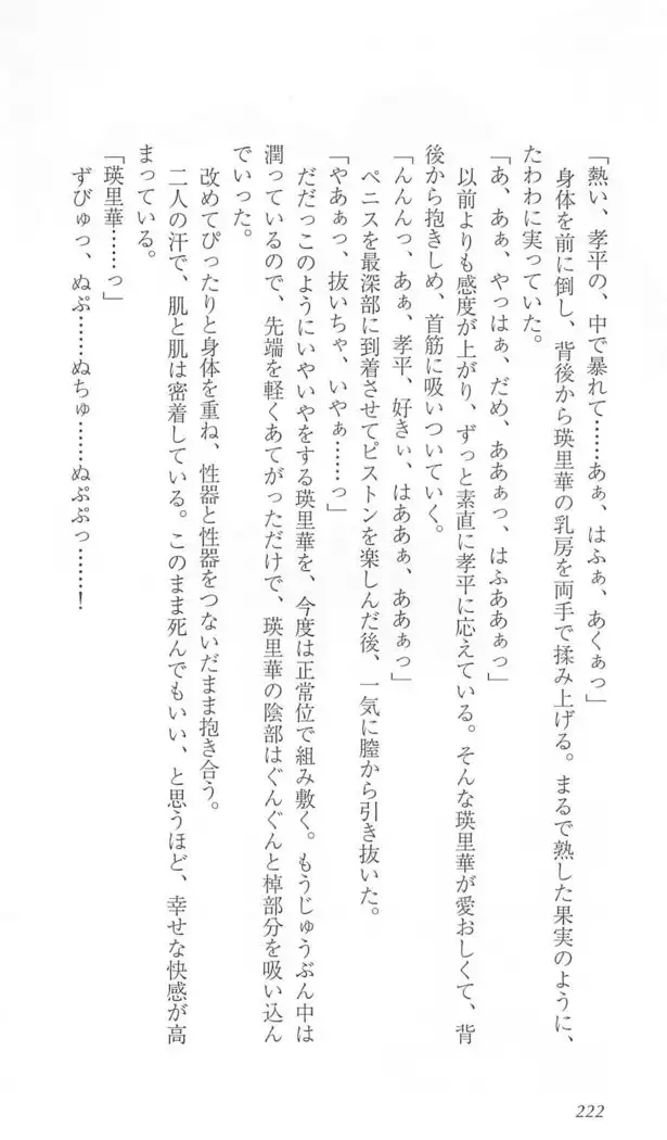 FORTUNE ARTERIAL 瑛里華編