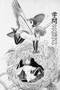 [Kondom] Fairie Fetish