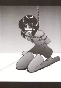 (C70) [Thirty Saver Street 2D Shooting (Maki Hideto, Sawara Kazumitsu)] Silent Saturn SS vol. 9 (Bishoujo Senshi Sailor Moon)