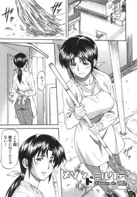 [Nagare Ippon] Meat Hole