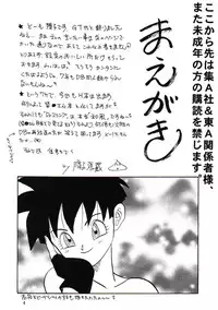 (C53) [Chirigami Goya, Fusuma go Ten] HOHETO (Dragon Ball Z) [English]