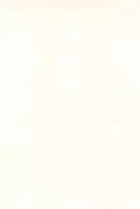 (C52) [Sancho Panda (PiYo, Kotono Wakako)] Muchuu ni Saseru Kare ga Suki (Bakusou Kyoudai Lets & Go!!)