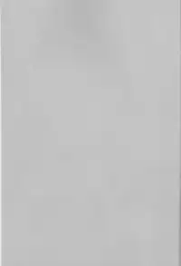 (C79) [Puchi Village (Nishimu, Harasho)] Ore no Doukyonin ga Konnani Kawaii Wake ga Nai ~Third Children Hen~ (Neon Genesis Evangelion)