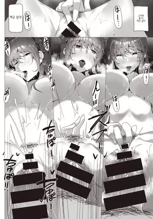 Cosmos - Like a Flower