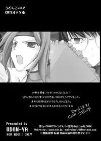 (C71) [UDON-YA (Kizuki Aruchu)] Udonko Vol.2 CM71 Omake Hon (Summon Night 4, Code Geass)