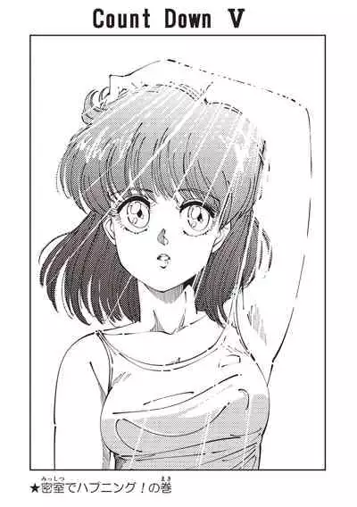 Himitsu no Shoujo Seiheki