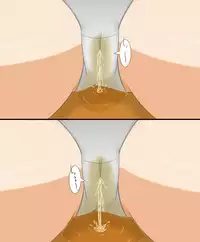 [Maanii] 黄金の輝き