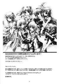 (CR37) [Red Ribbon Revenger (Various)] Flying Dragon (Gundam Seed Destiny)