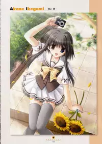 Shuffle! - Visual Fan Book