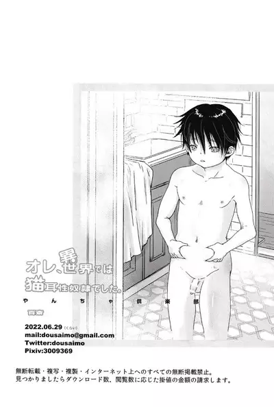 Ore, Isekai de wa Nekomimi Seidorei Deshita | I Became An Animal-Eared Slave In Another World