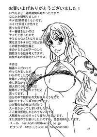 [Naruho-dou (Naruhodo)] Nami SAGA 2 (One Piece) [Digital]