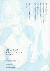 Kyuuai Etranger Color Rough Collection