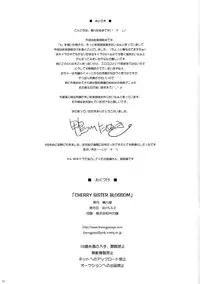 (COMIC1☆9) [Kamogawaya (Kamogawa Tanuki)] CHERRY SISTER BLOSSOM (Saki) [English] [SaHa]