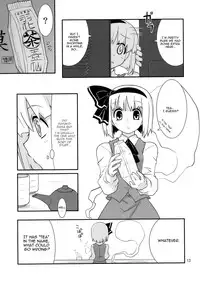 (C77) [Fujiiro Sabou (Fujii Jun)] THE SUN AND THE MOON (Touhou Project) [English] [U MAD]
