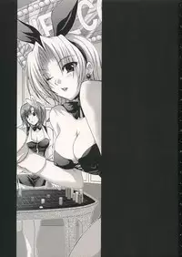 (SC28) [Fantasy Wind (Shinano Yura)] VIP_GIRL (Super Black Jack)