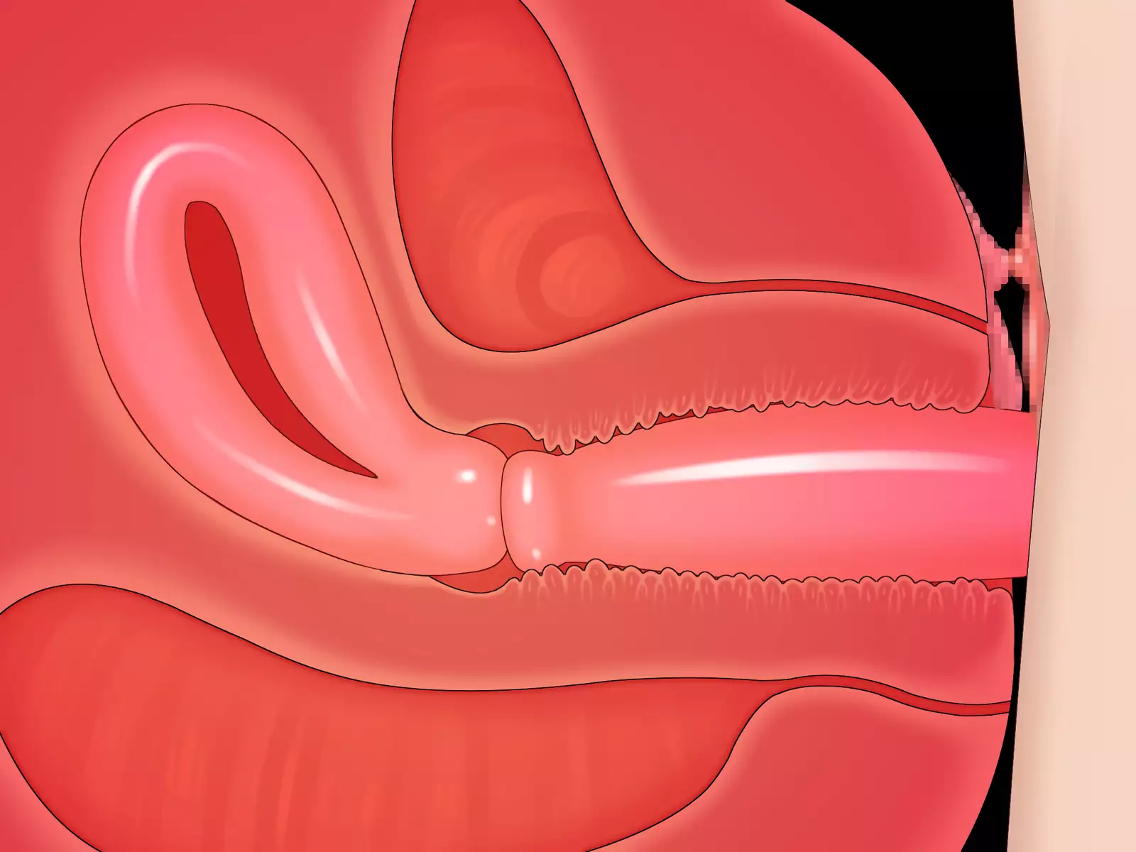 New Futanari Paid Dating