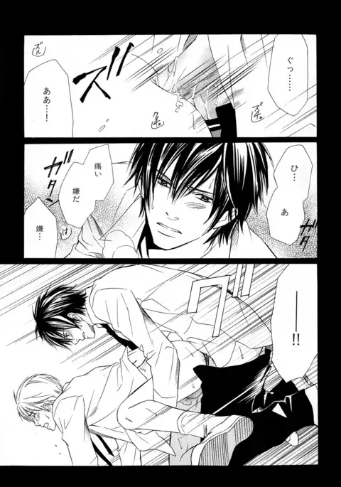 b-BOY Phoenix Vol.11 Shiroisha Tokushuu