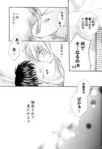 (C66) [Sakurakan (Seriou Sakura)] Junai Romanesque (Inuyasha)