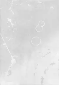 (C92) [Toumei Kousoku (Chika)] Doitsu Kuubo ni 