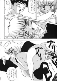 (C50) [Moriman Shouten (Various)] Katze 14 (Neon Genesis Evangelion)