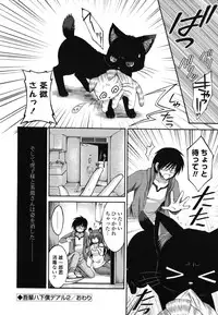 [Cesar] Otome Kaikinbi